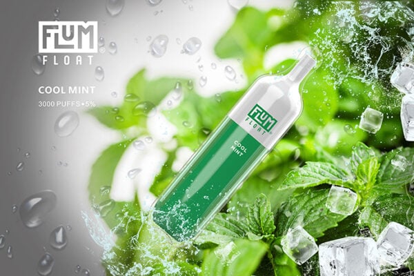 Flum Float クールミント 5.0% Flum Float クールミント 5.0%