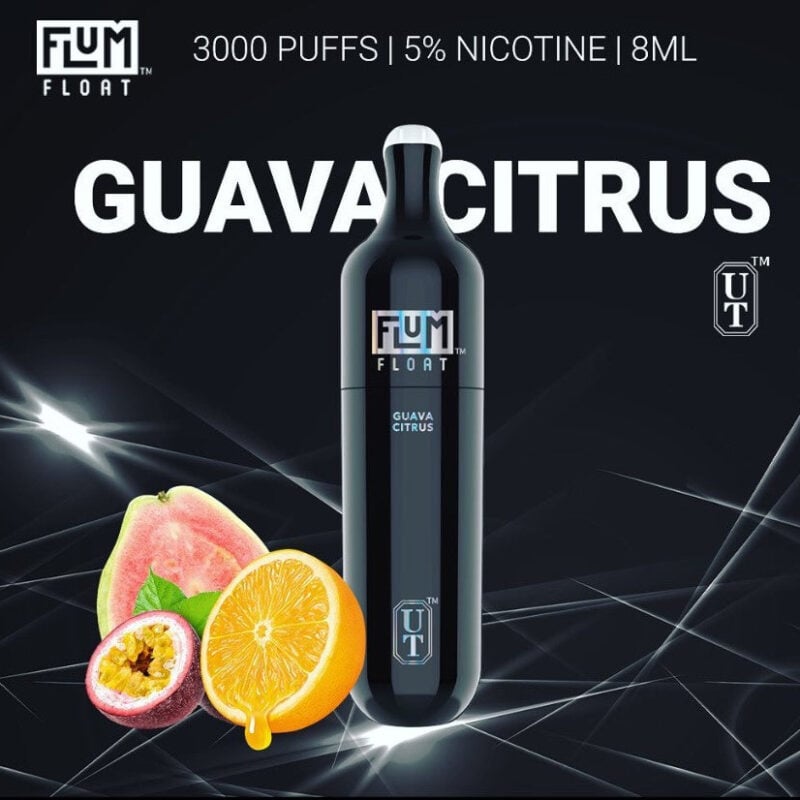 Flum Float グアヴァシトラス 5.0% Flum Float グアヴァシトラス 5.0%